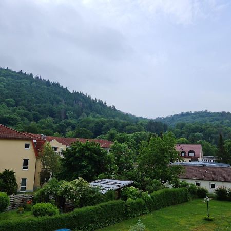 Pension Kreihe Im Harz باد لوتربرغ المظهر الخارجي الصورة